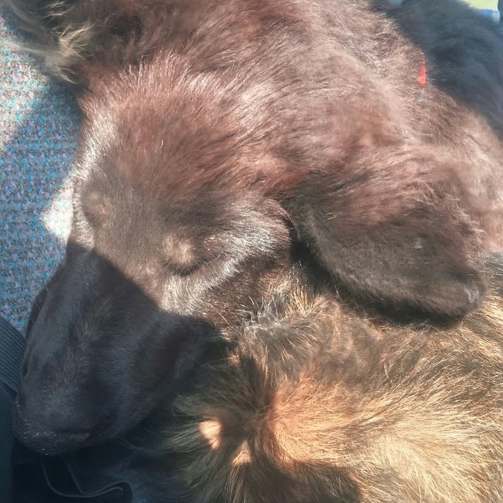 Meet your Posher, Kyla and